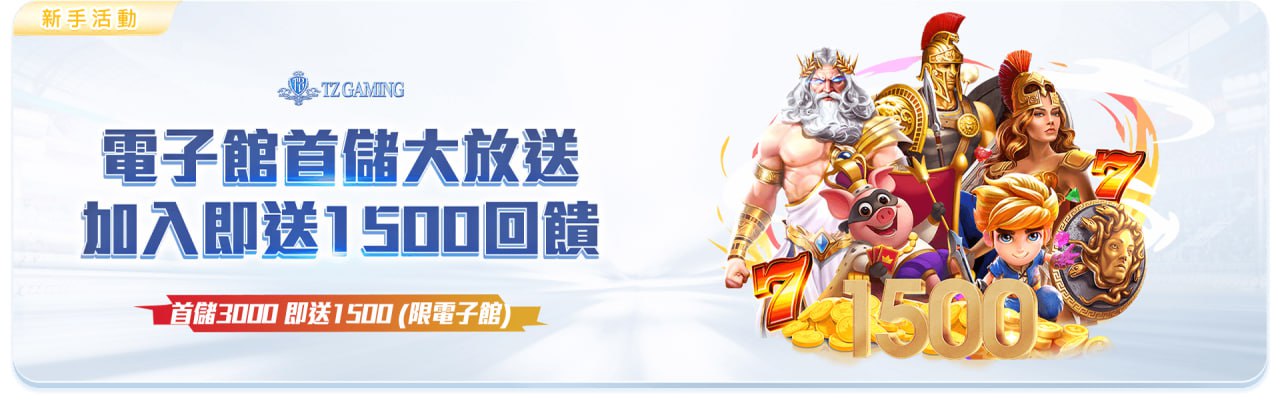 TZ電子首儲